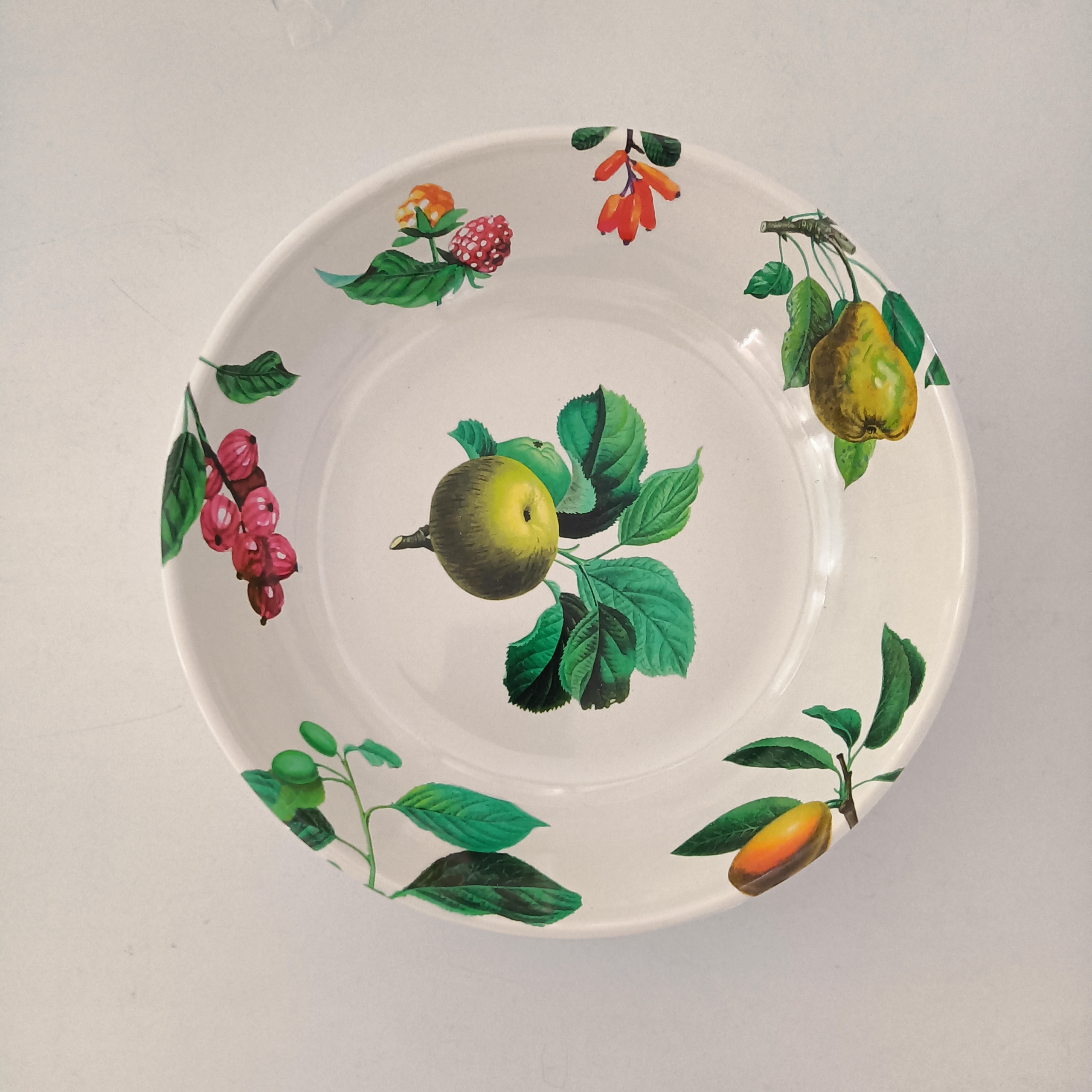 Emporio Zani Tutti Frutti i nuovi piatti indistruttibili in melamina - immagine 5